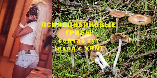 дмт Карпинск