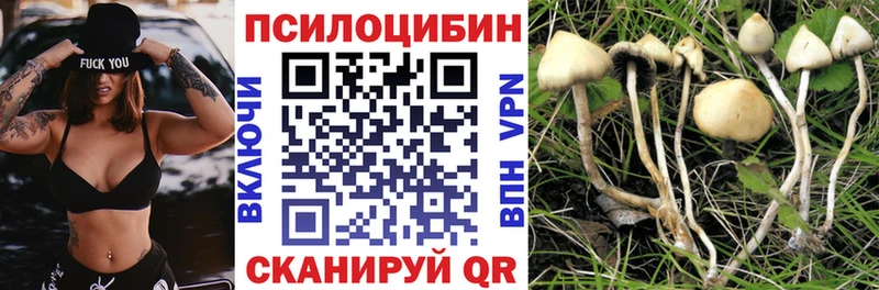 Галлюциногенные грибы Psilocybine cubensis Оха