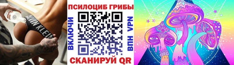 Купить  Оха  Псилоцибиновые грибы мицелий 
